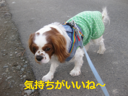 IMG_4125.png