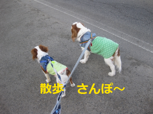 IMG_4132.png