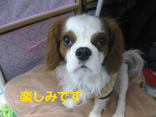 IMG_4144.png