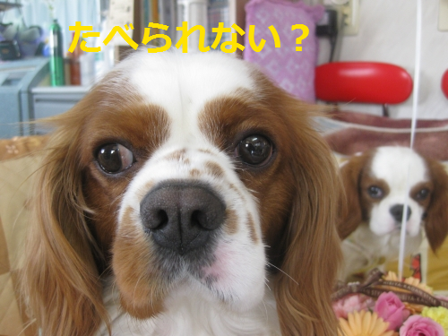 IMG_4175.png