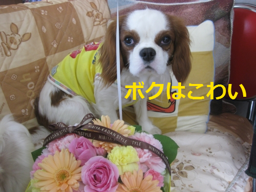 IMG_4176.png