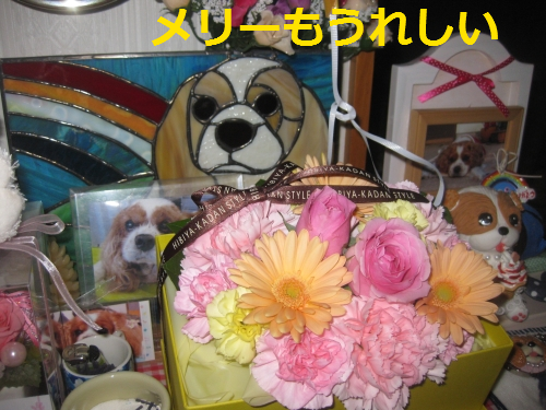 IMG_4187.png