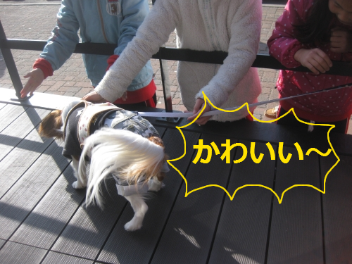 IMG_4193.png