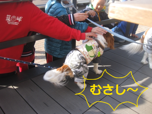 IMG_4194.png