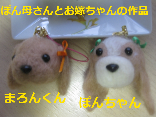 IMG_4213.png