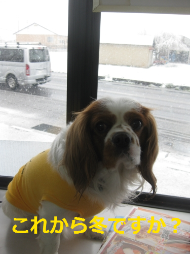 IMG_4275.png
