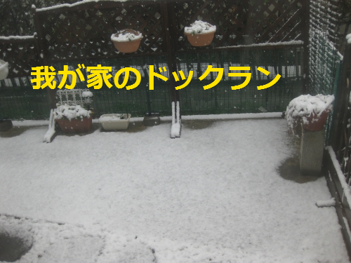 IMG_4276.png