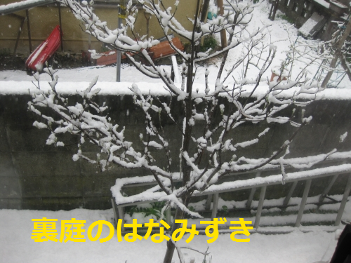 IMG_4277.png