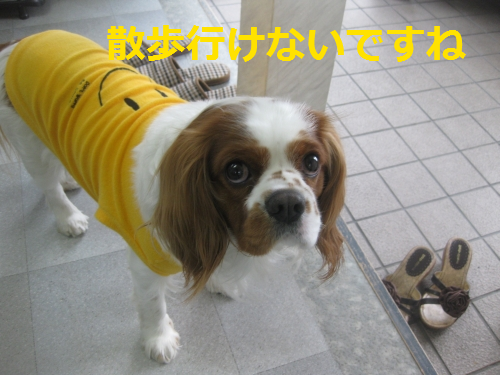 IMG_4280.png