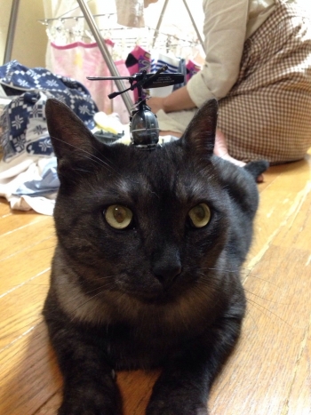 20141111011332275.jpg