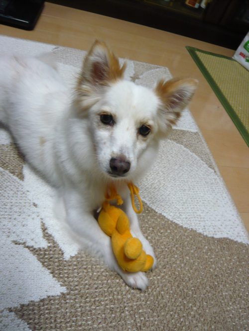 20120805-1.jpg