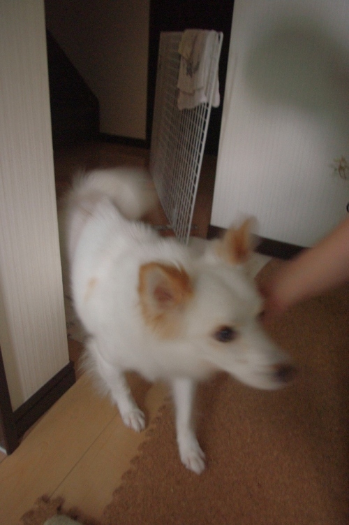20120811-1.jpg