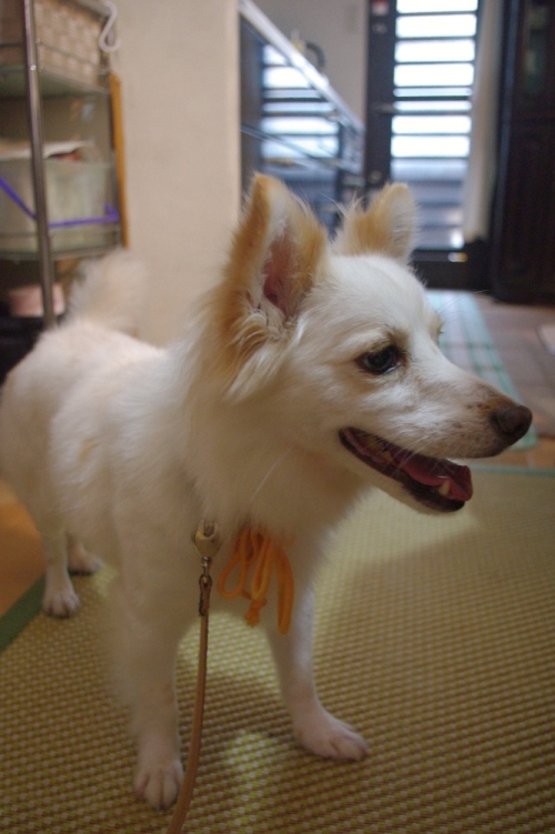 20120811-2.jpg