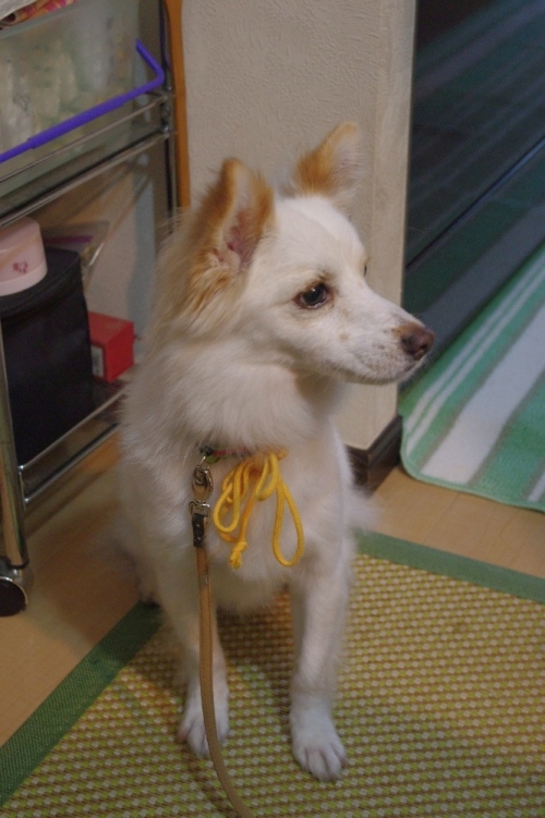 20120811-3.jpg