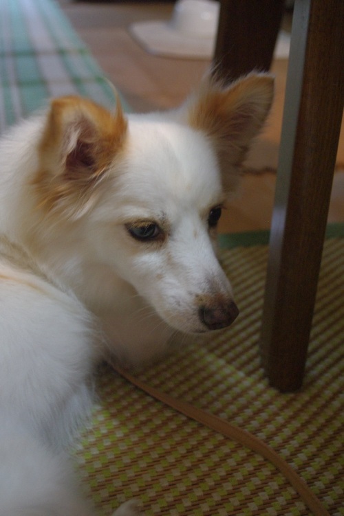 20120811-4.jpg