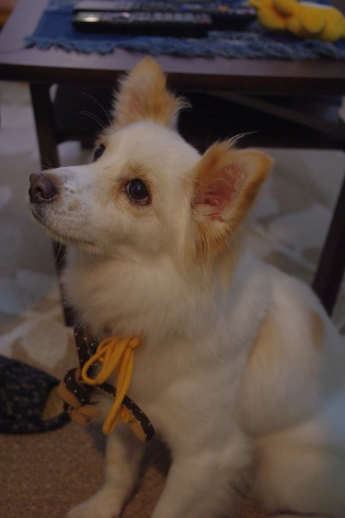 20120811-5.jpg