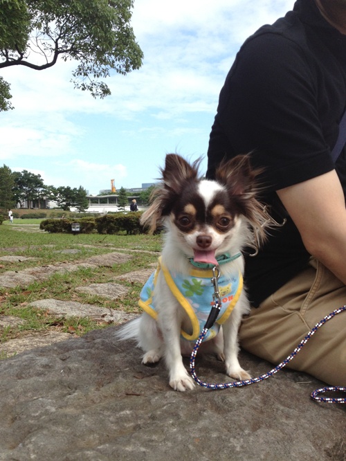 20120914-4.jpg