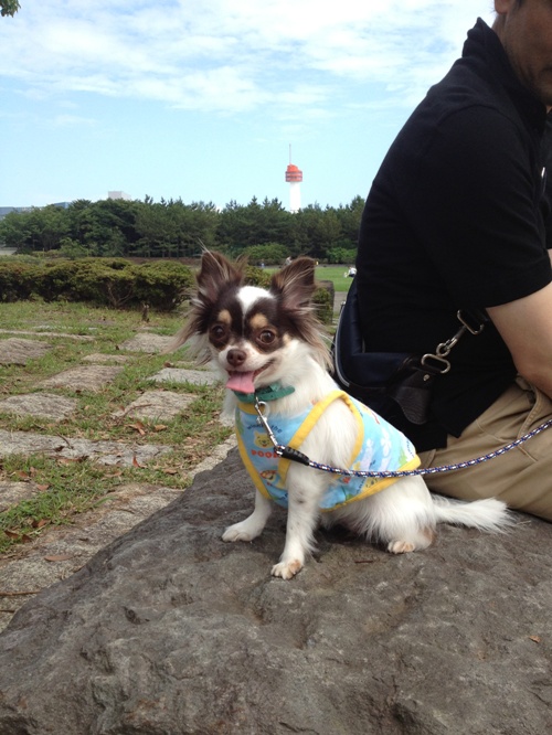 20120914-3.jpg