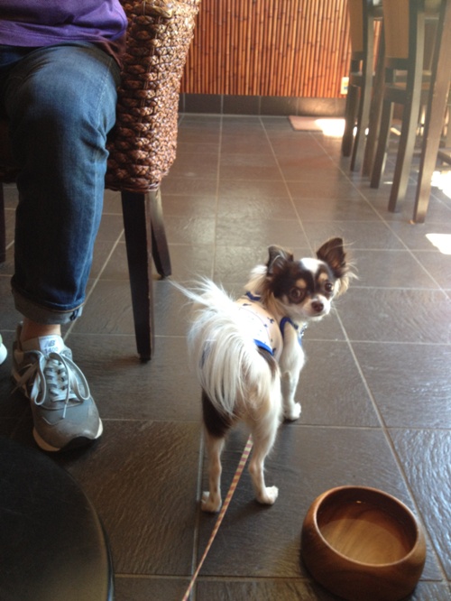 20120914-2.jpg