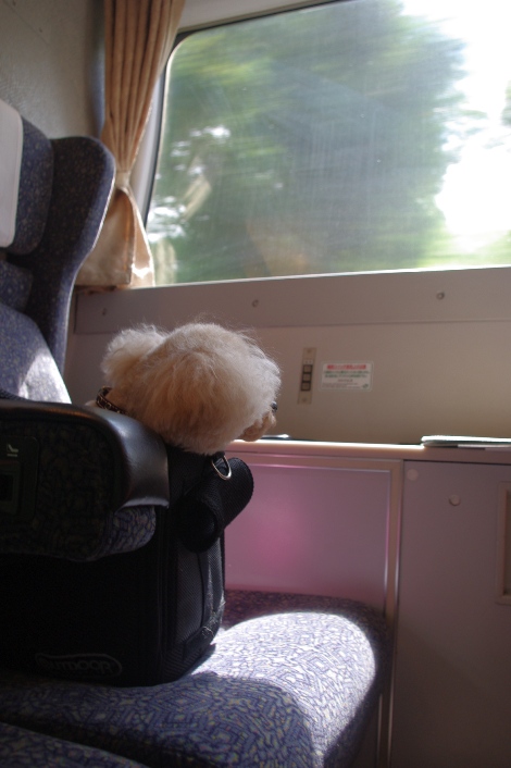 20120905-3.jpg