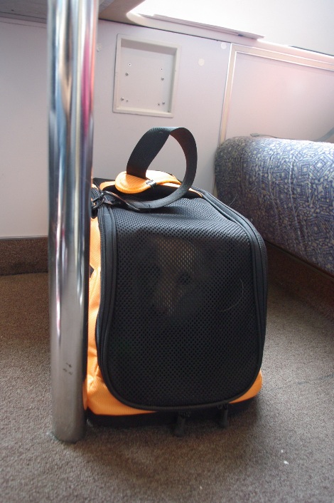 20120905-4.jpg
