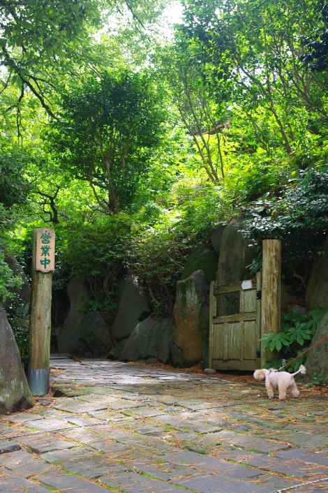 20120905-7.jpg