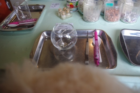 20120905-9.jpg