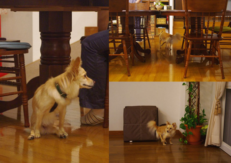 20120907-10.jpg