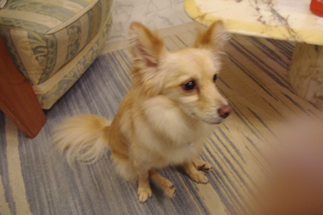 20120907-11.jpg