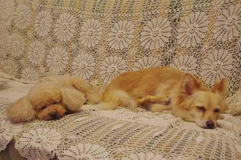 20120907-14.jpg