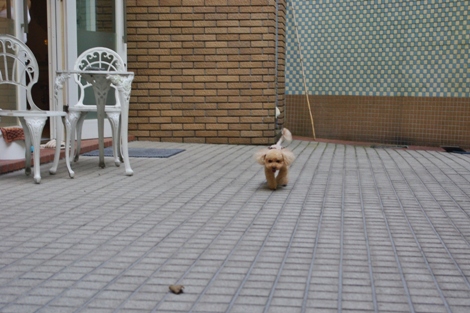 20120907-6.jpg