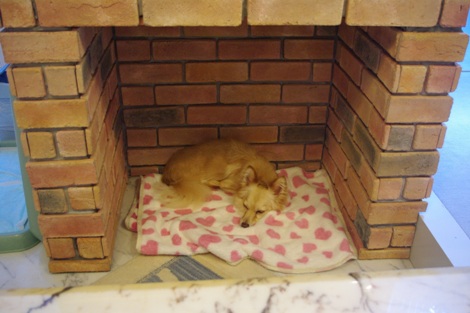 20120907-7.jpg