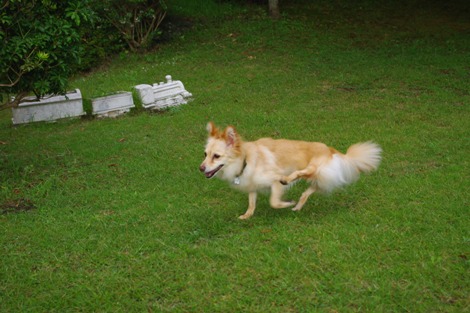 20120908-4.jpg