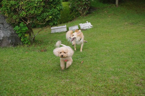 20120908-5.jpg