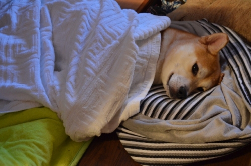 20120925-3.jpg