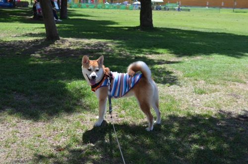 20120925-5.jpg