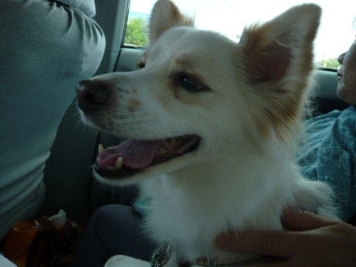 20120927-1.jpg