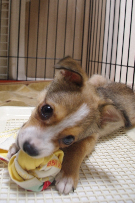 20120928-6.jpg