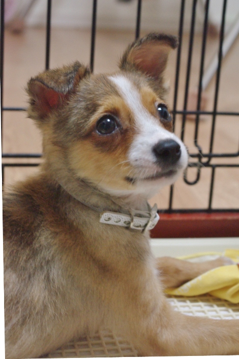 20120928-7.jpg