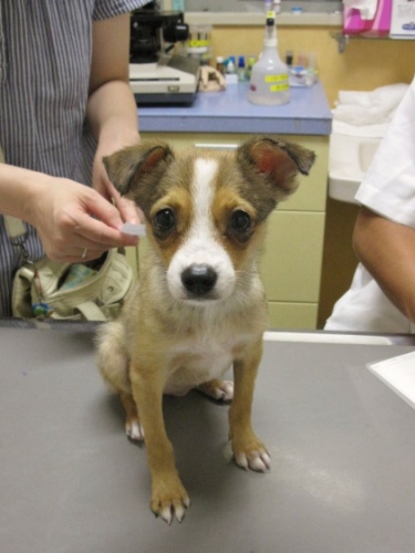20120929-2.jpg