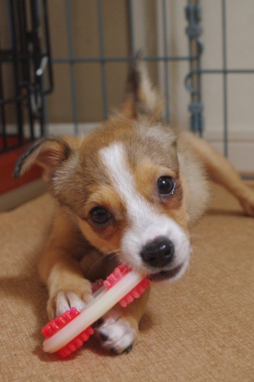 20121005-2.jpg