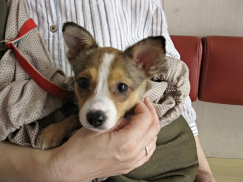 20121007-1.jpg