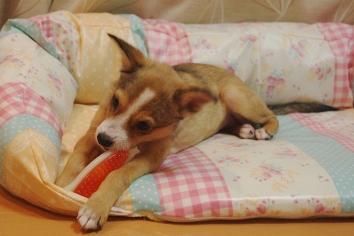 20121012-2.jpg