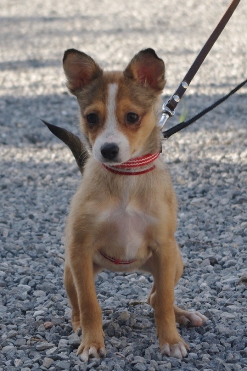 20121013-1.jpg
