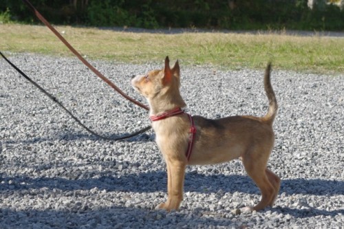 20121013-2.jpg