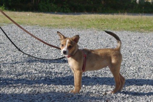 20121013-3.jpg