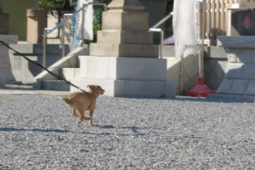 20121013-2.jpg