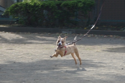 20121013-3.jpg