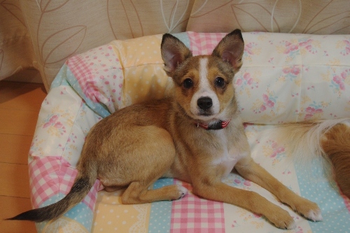 20121020-1.jpg