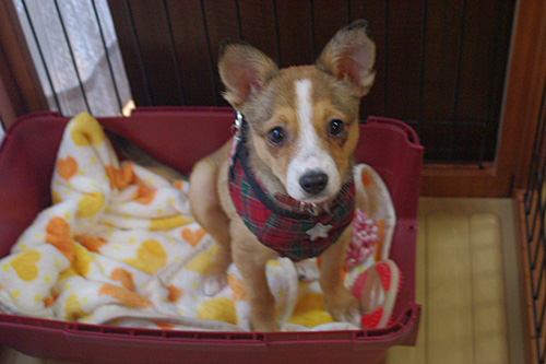 20121020-6.jpg